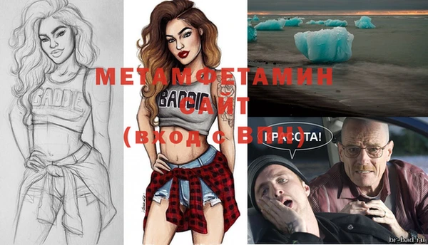 крисы Белокуриха
