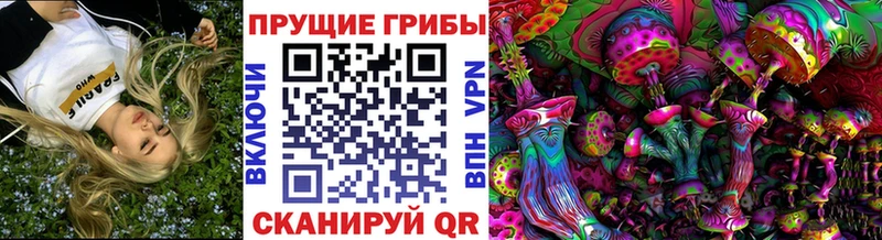 наркошоп  Сольцы  Галлюциногенные грибы MAGIC MUSHROOMS 